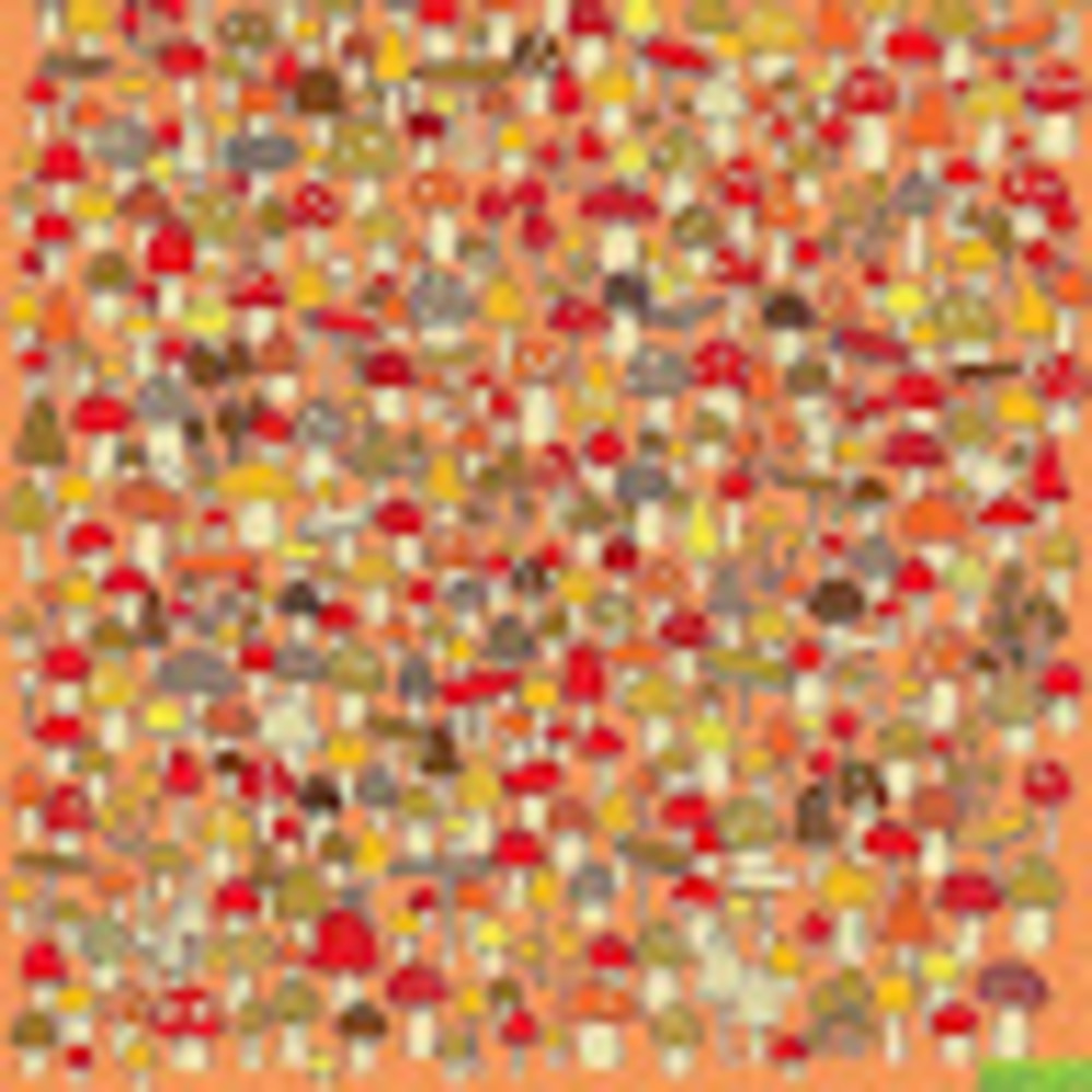 Meet your Posher, Jacob